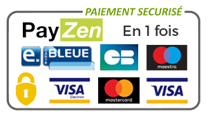 paiement par carte payplug